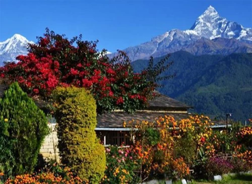 Trekking Dhampus Sarangkot